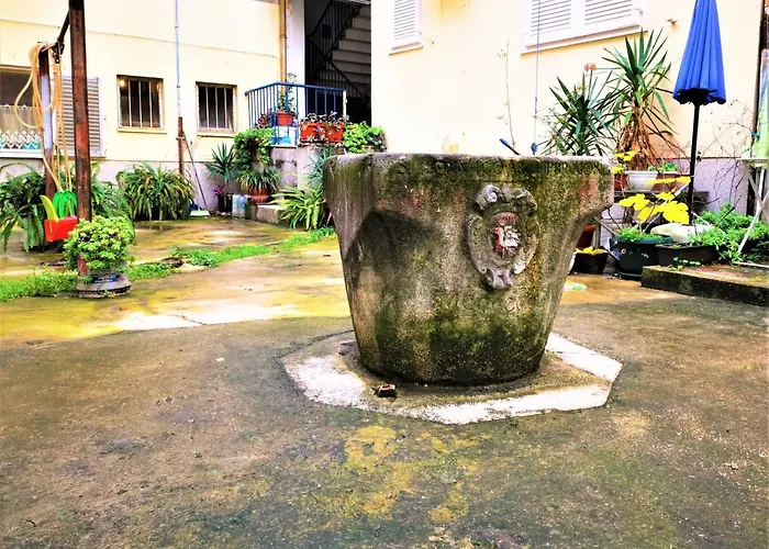 Divinity's Reach - Old Town Center 4* Zara